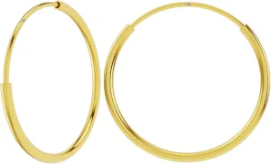 Silver Hoops